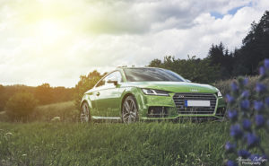 Javagreen_Audi_TTS_2016